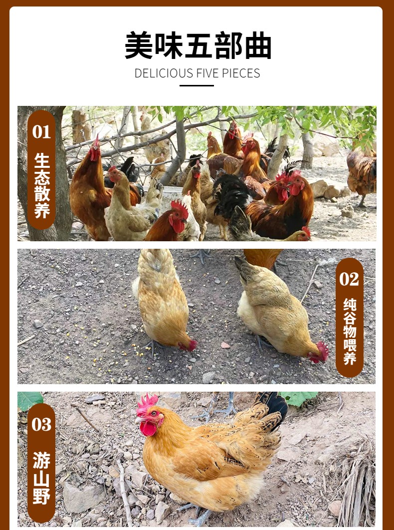 买赠9-13号 大别山金寨土鸡蛋 可生食鸡蛋（原产地发货）