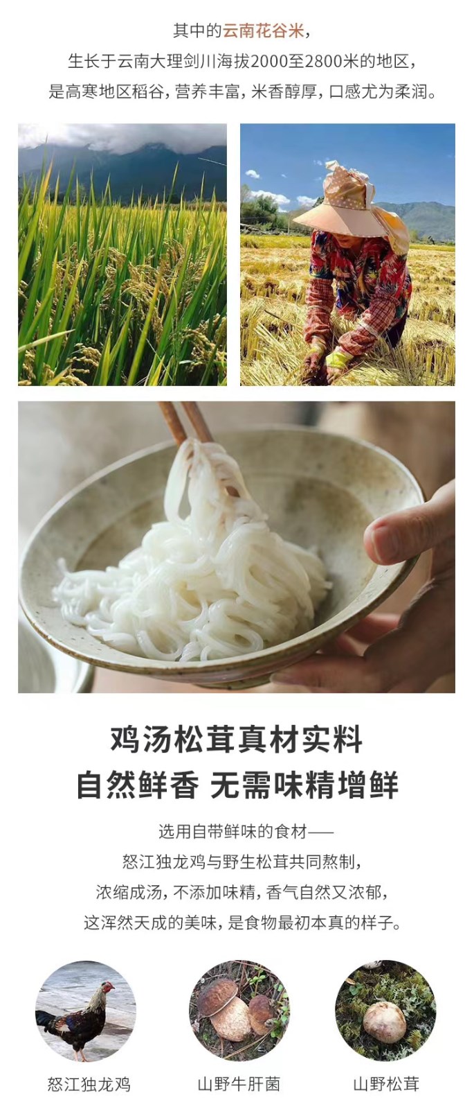 云南松茸鸡汤米线（原产地发货）