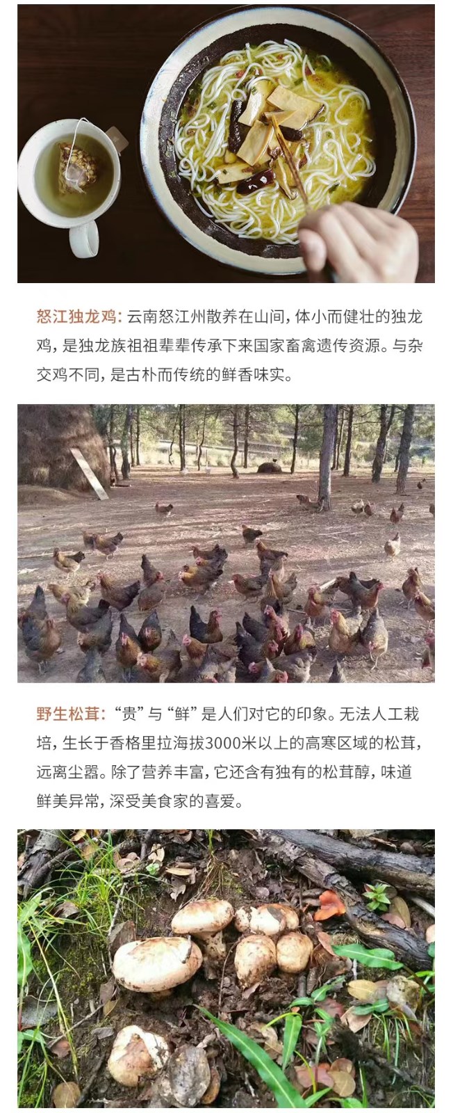 云南松茸鸡汤米线（原产地发货）