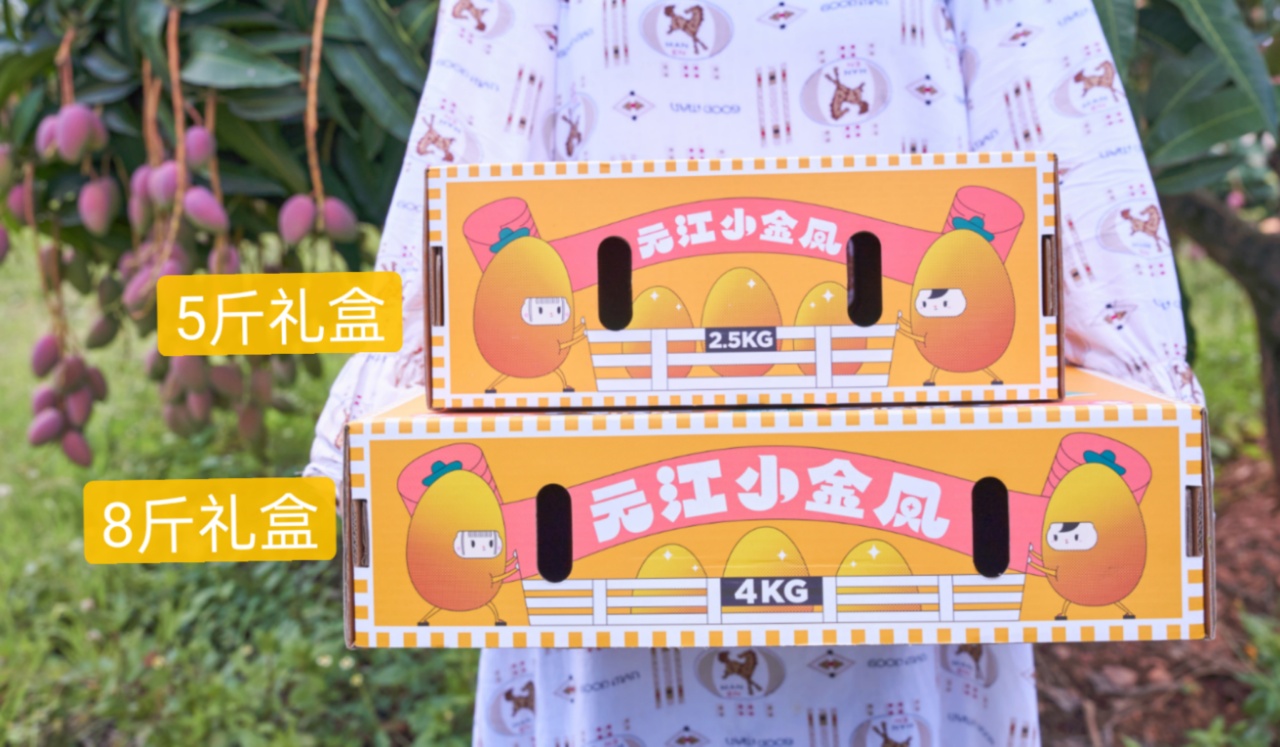 新品特价2-5号 云南元江小金凤芒果 树上熟（原产地发货）