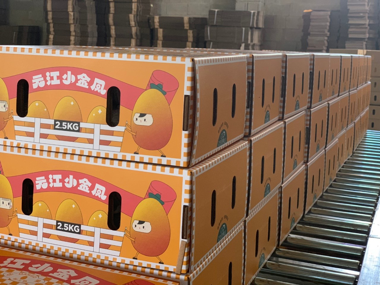 新品特价2-5号 云南元江小金凤芒果 树上熟（原产地发货）