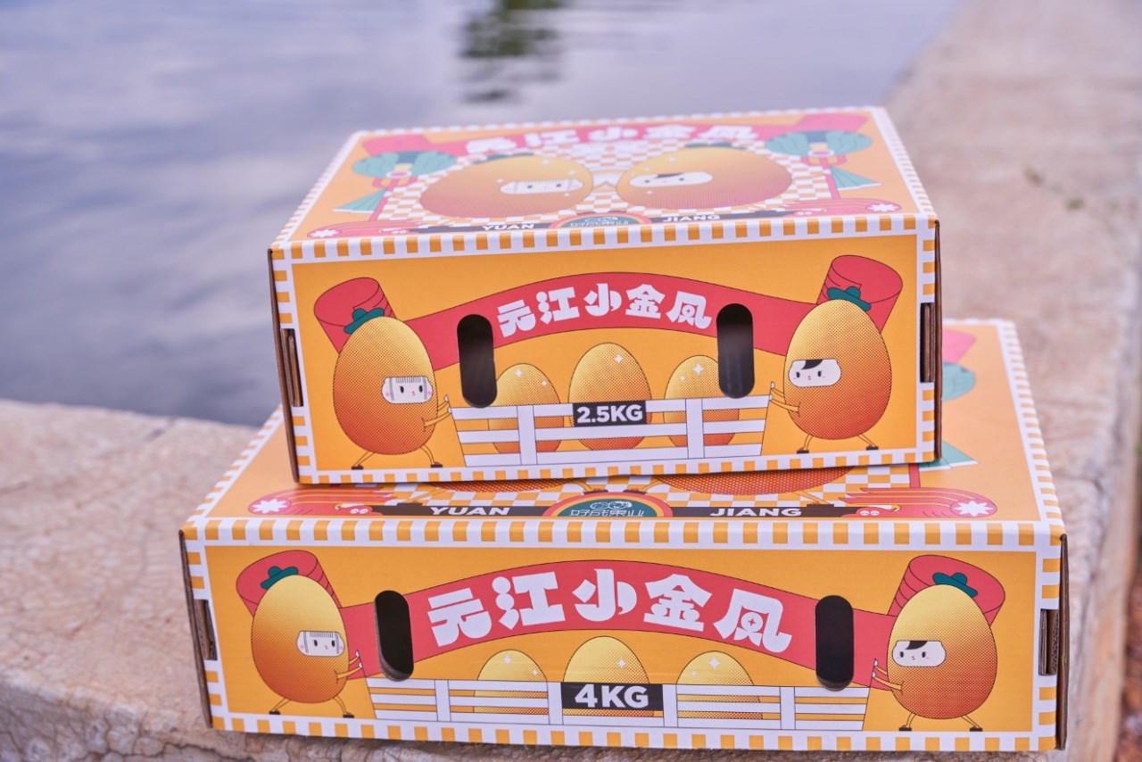 新品特价2-5号 云南元江小金凤芒果 树上熟（原产地发货）