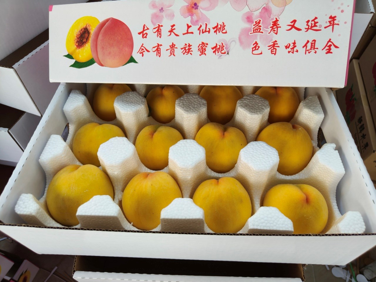 徐州大沙河贵族黄桃 （原产地发货）