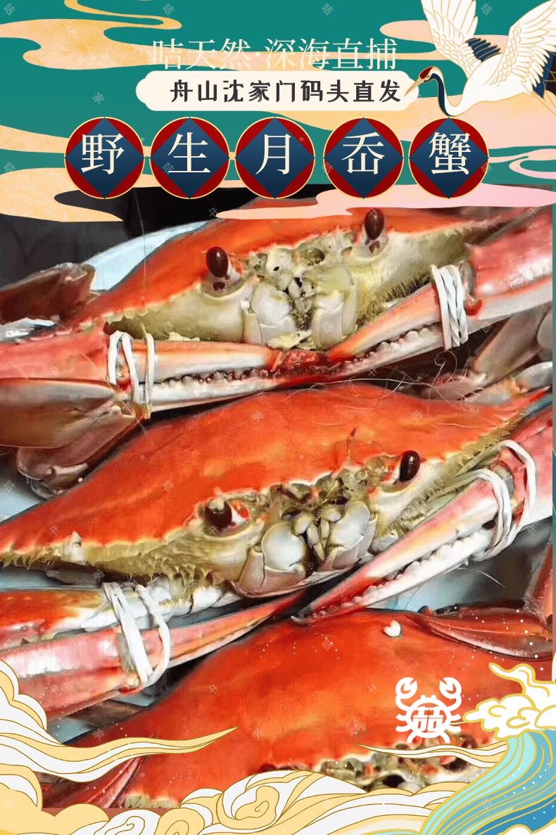 舟山深海野生月岙蟹 梭子蟹（原产地发货）
