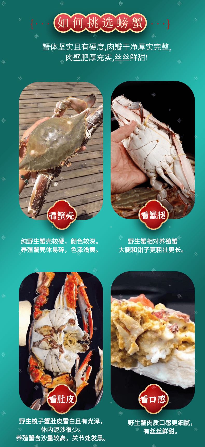 舟山深海野生月岙蟹 梭子蟹（原产地发货）