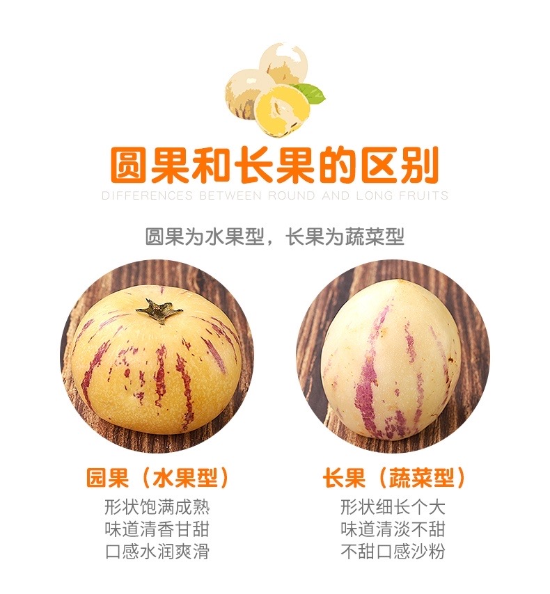 云南石林树上熟人参果（原产地发货）