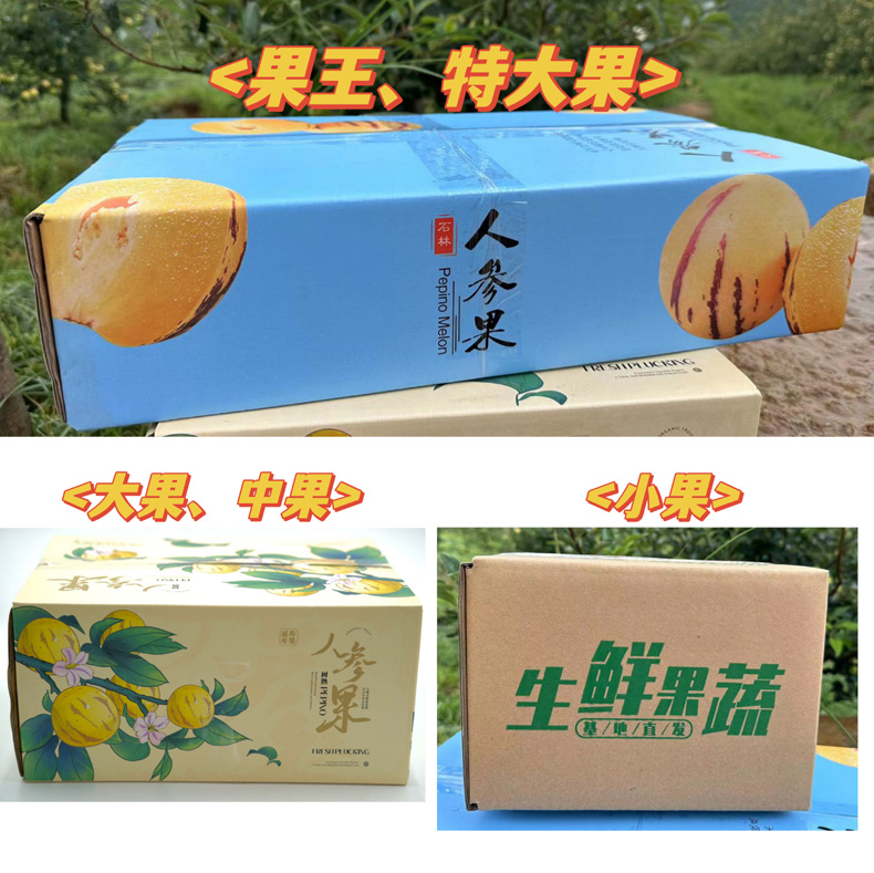 云南石林树上熟人参果（原产地发货）
