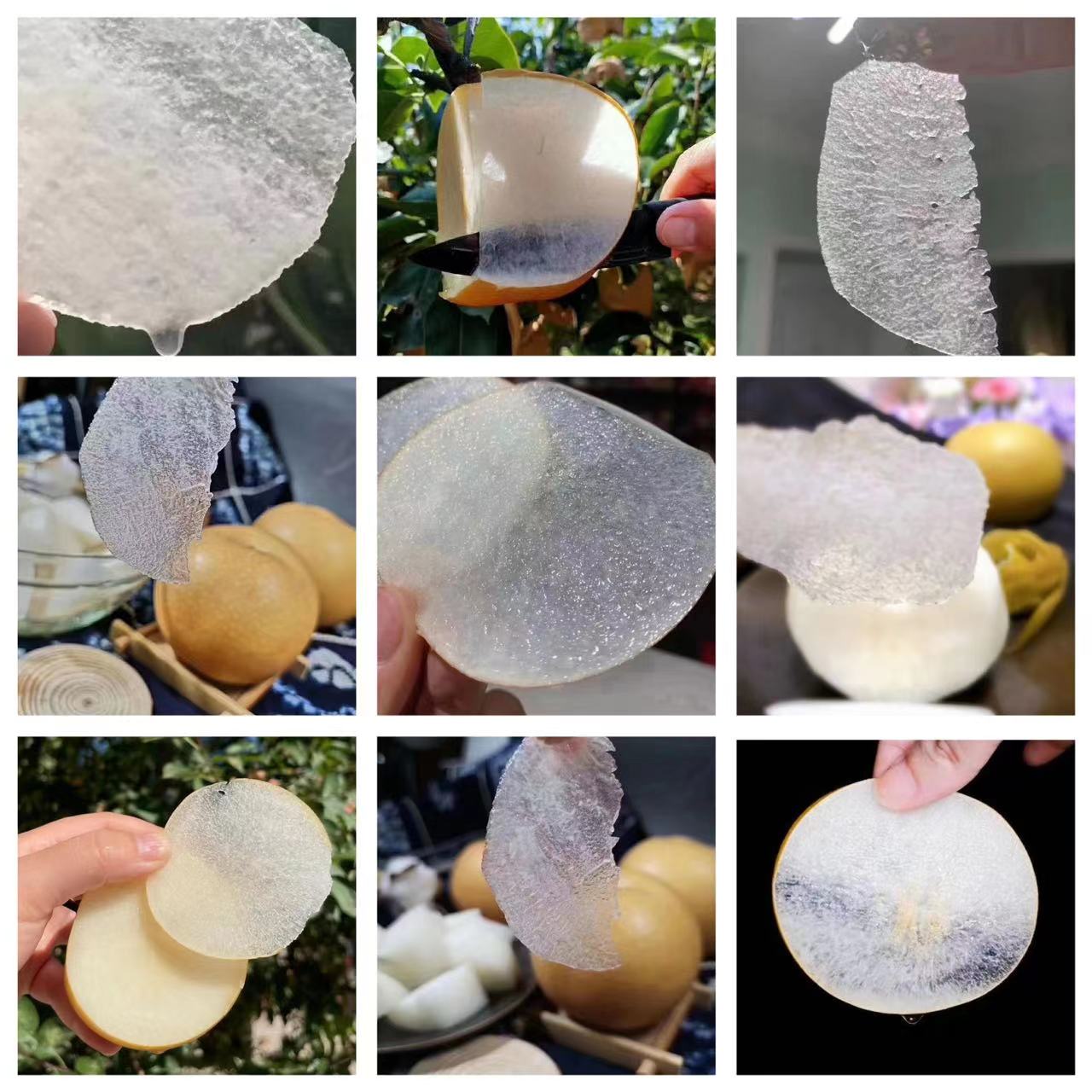 山东莱西秋月梨（原产地发货）