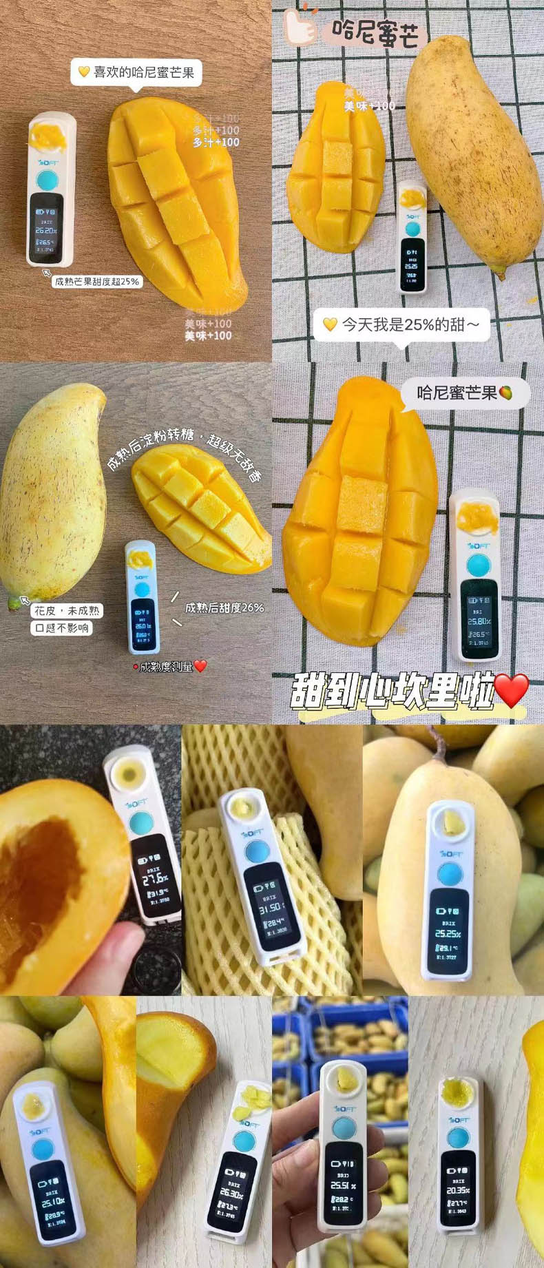 云南哈尼蜜芒 芒果（原产地发货）