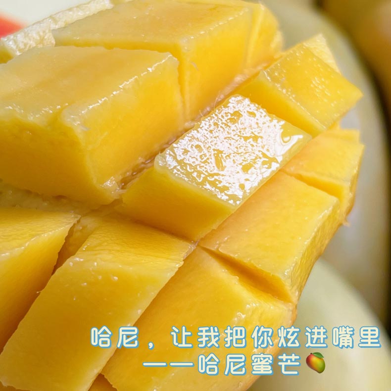 云南哈尼蜜芒 芒果（原产地发货）