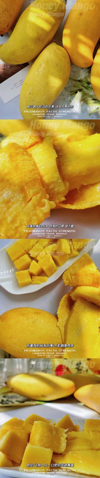 云南哈尼蜜芒 芒果（原产地发货）