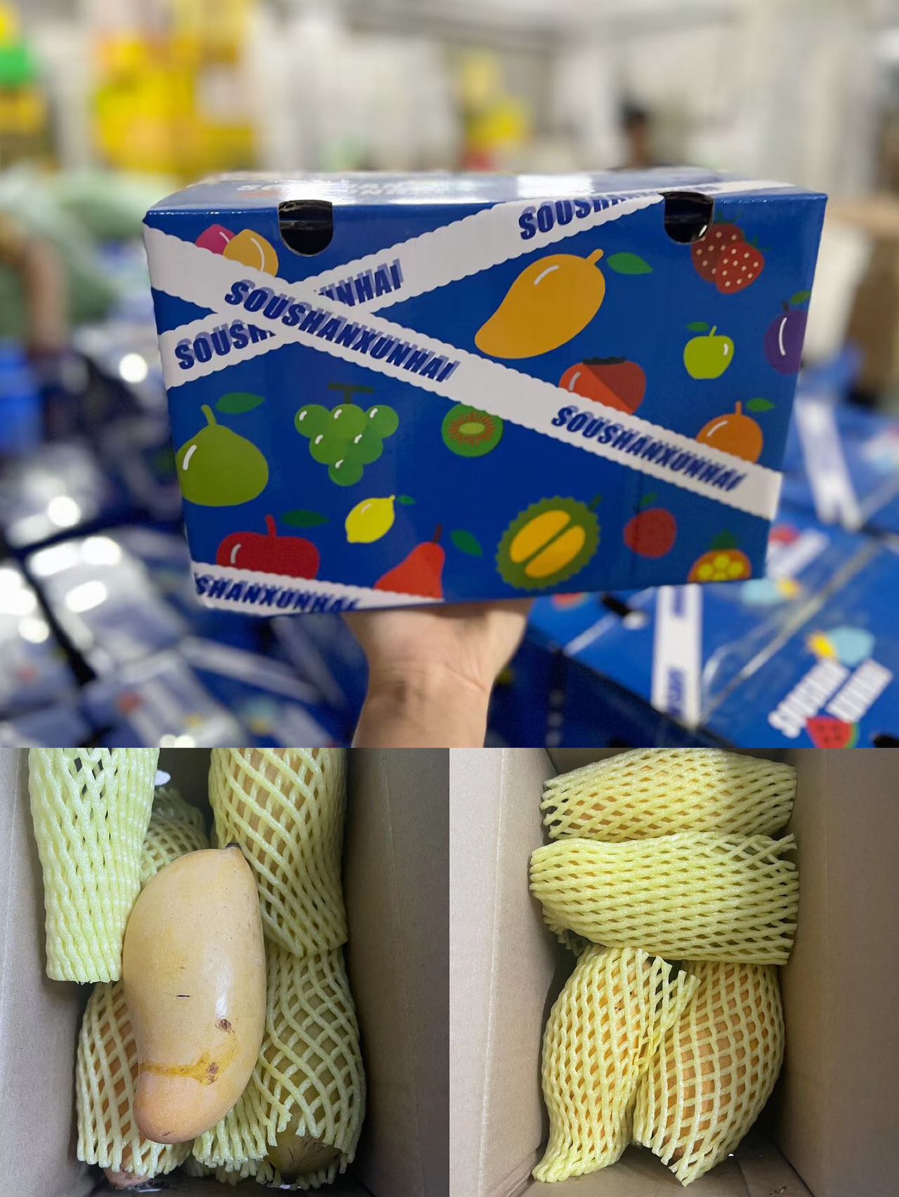 云南哈尼蜜芒 芒果（原产地发货）