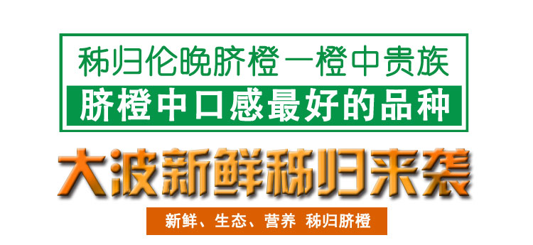 2025年宜昌秭归伦晚脐橙   产地直发