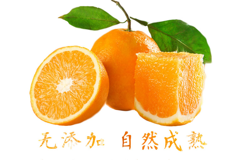 2025年宜昌秭归伦晚脐橙   产地直发