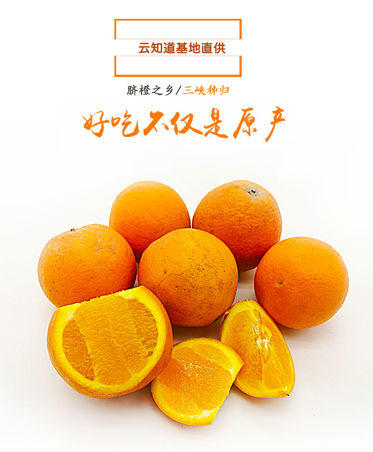 2025年宜昌秭归伦晚脐橙   产地直发