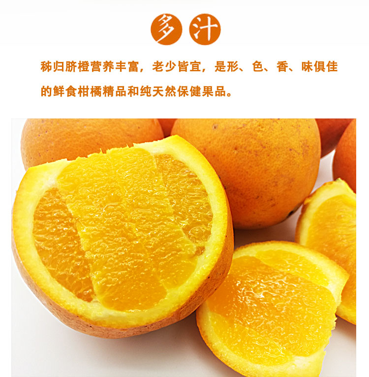 2025年宜昌秭归伦晚脐橙   产地直发