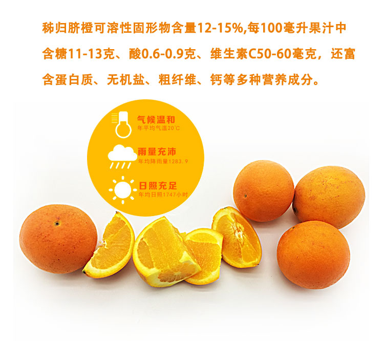 2025年宜昌秭归伦晚脐橙   产地直发