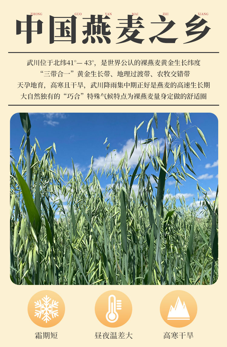 2024新米 内蒙古武川 燕麦胚芽米（原产地发货）