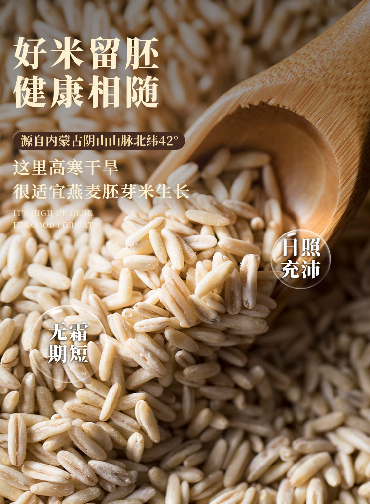 2024新米 内蒙古武川 燕麦胚芽米（原产地发货）