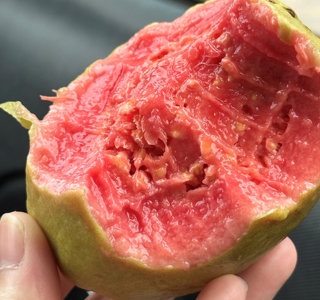 广东潮汕精品软芭乐 红心芭乐 奶油芭乐 番石榴（原产地直发）