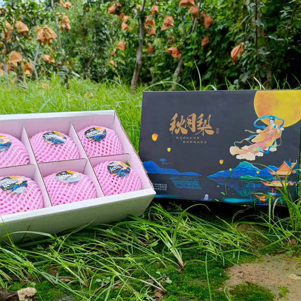 山东莱西秋月梨（原产地发货）