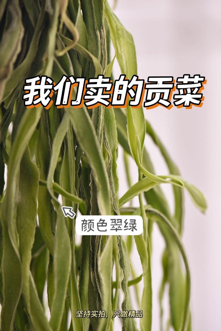 云南高山贡菜 贡菜干（原产地发货）