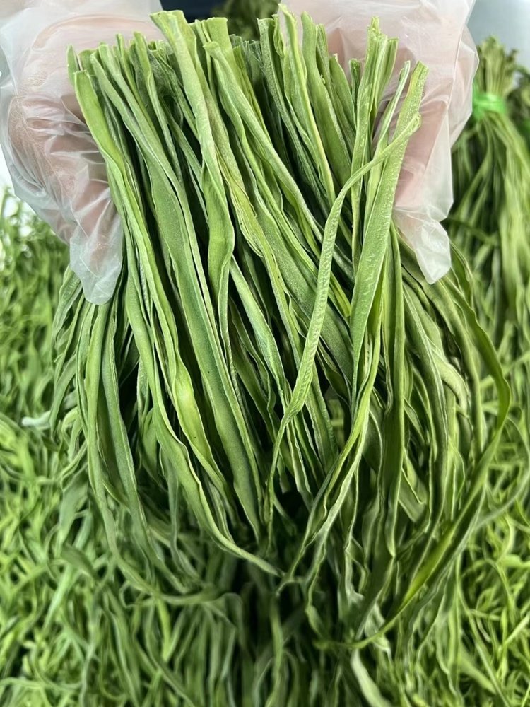 云南高山贡菜 贡菜干（原产地发货）