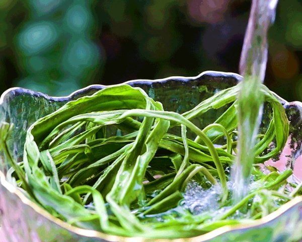 云南高山贡菜 贡菜干（原产地发货）