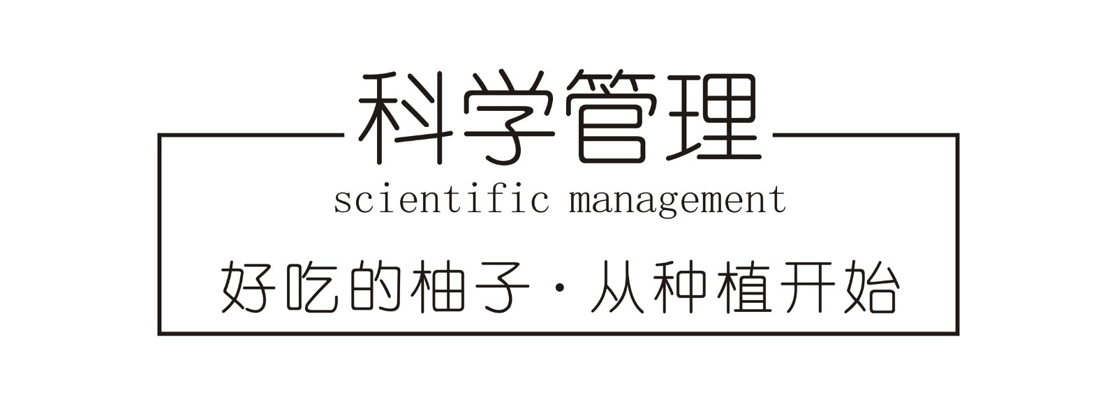 广东梅州大埔 红心蜜柚（原产地发货）