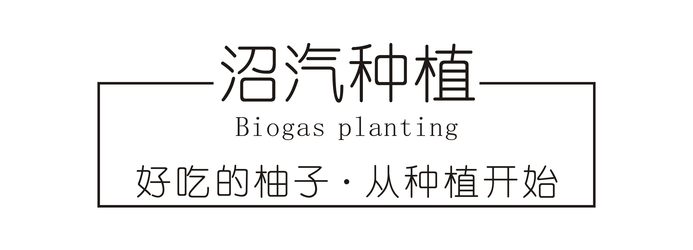 广东梅州大埔 红心蜜柚（原产地发货）