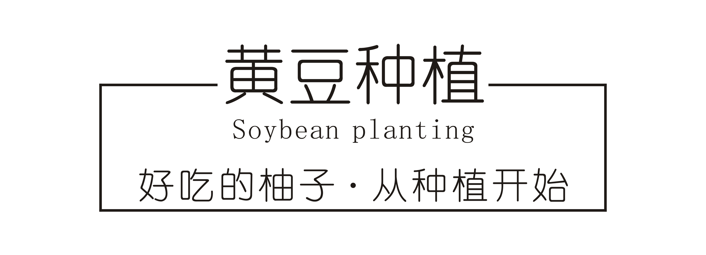 广东梅州大埔 红心蜜柚（原产地发货）