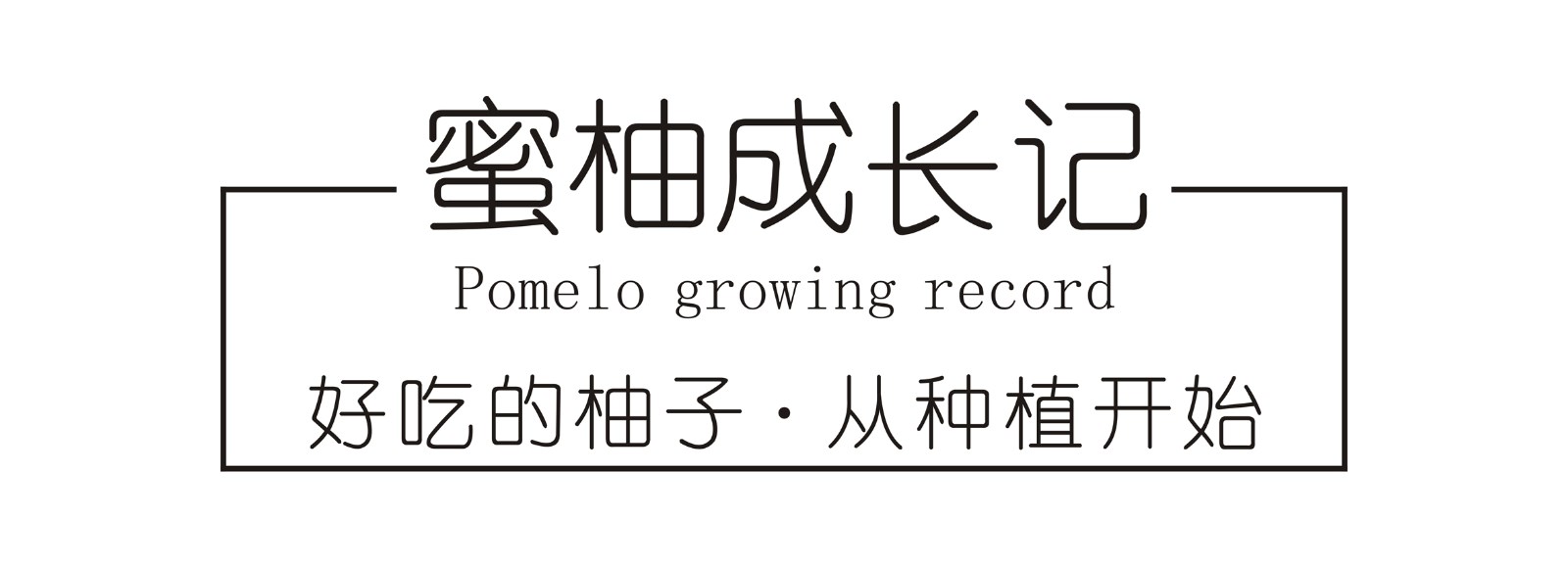 广东梅州大埔 红心蜜柚（原产地发货）