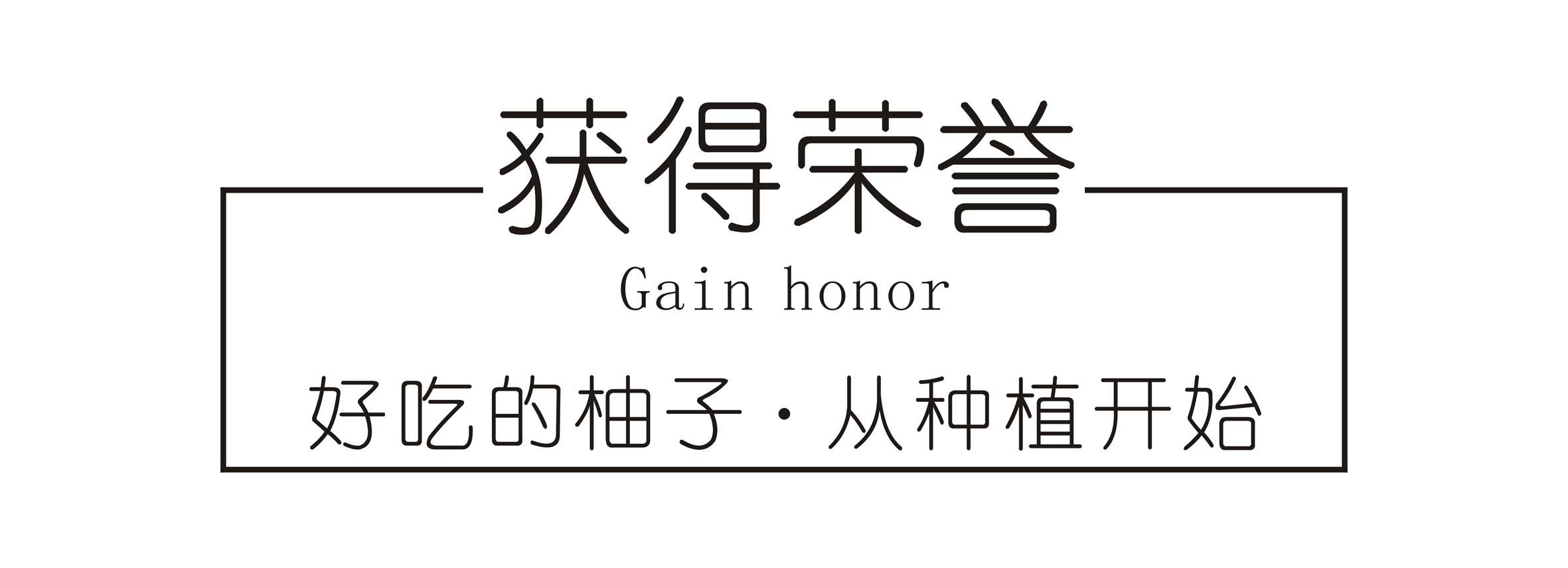 广东梅州大埔 红心蜜柚（原产地发货）