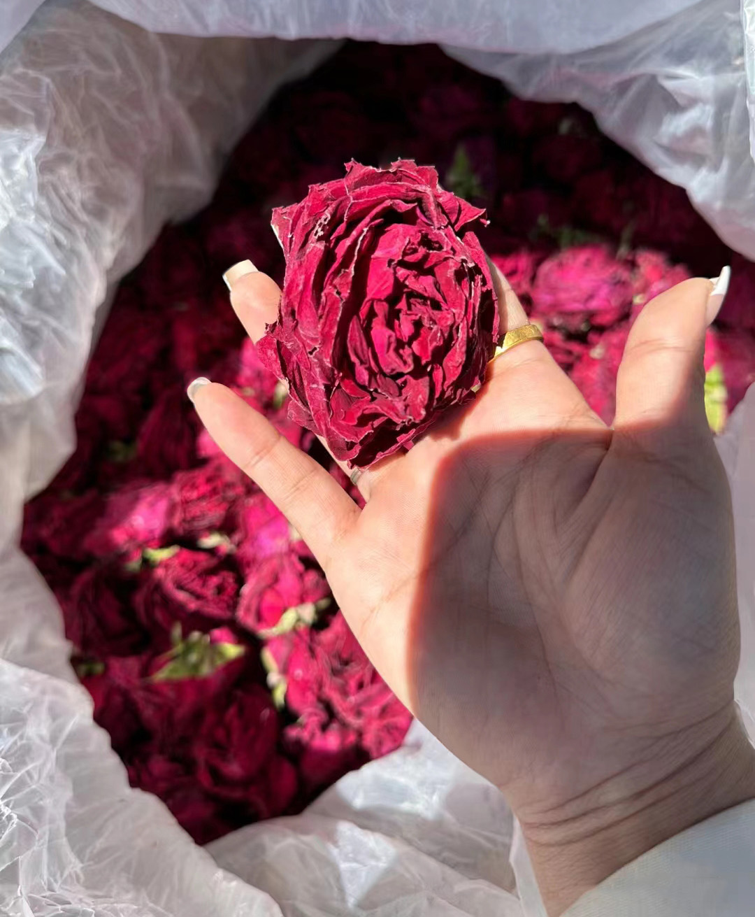 云南头茬冻干墨红玫瑰花茶 玫瑰花茶（原产地发货）