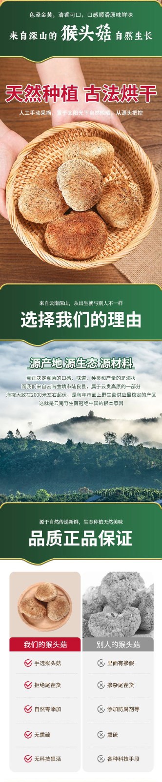 云南特级猴头菇  高原猴头菇（原产地发货）