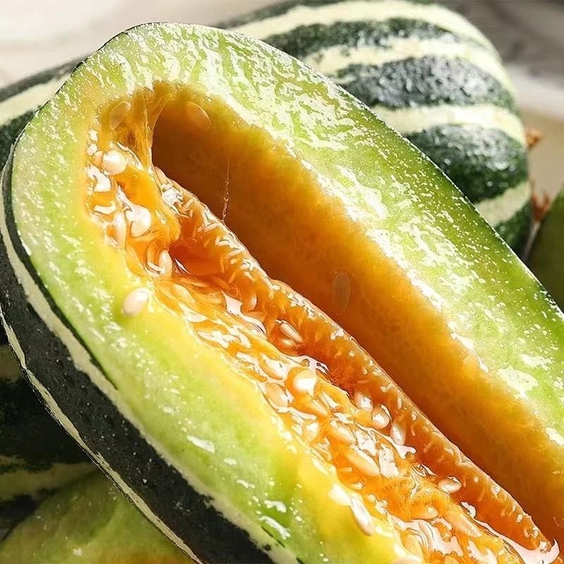 山东博洋9号蜜瓜 羊角蜜瓜（原产地发货）