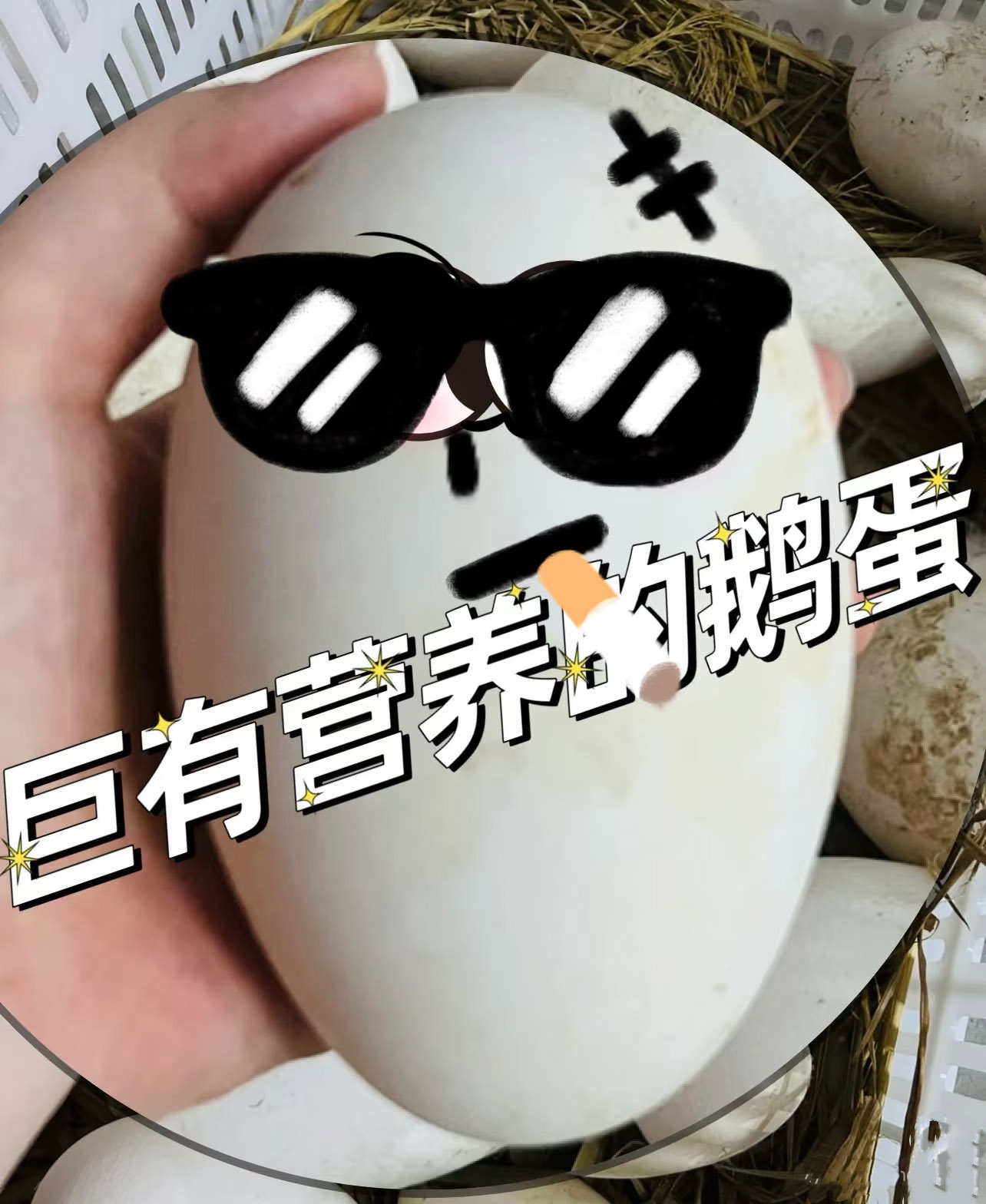 新品特价4-6号 辽宁寒地散养白鹅蛋（原产地发货）